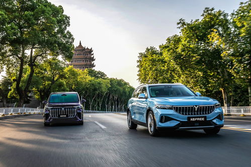 嵐圖汽車 人事結(jié)構(gòu)優(yōu)化促銷量增長(zhǎng)，7月市場(chǎng)表現(xiàn)亮眼